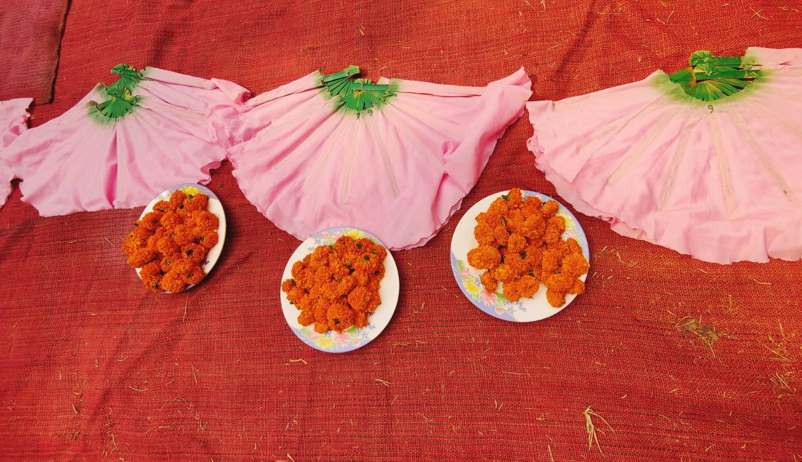 Bosonto Boron event Marie Curie School